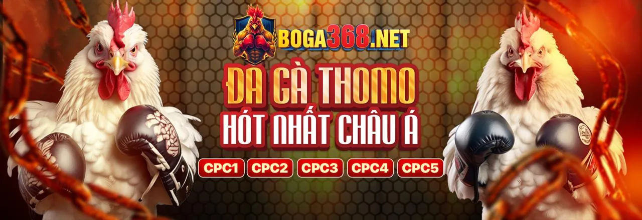 BK88 Đăng Nhập 2026 Chính Thức Đá Gà Trực Tuyến Đỉnh Cao